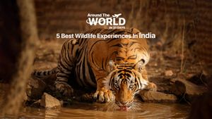 5 Best Wildlife Experiences In India