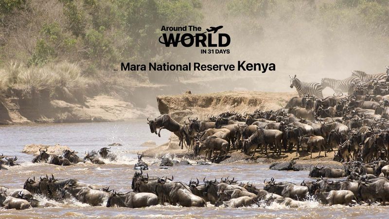 Masai Mara National Reserve Kenya