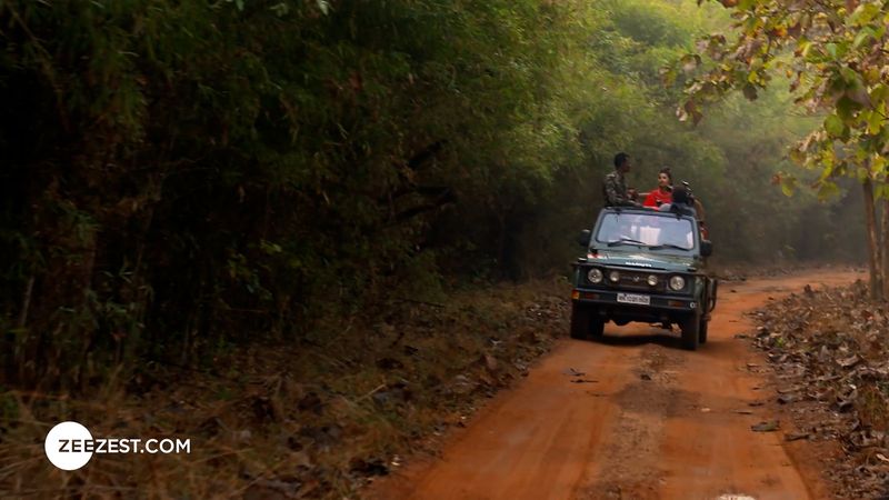 A Visit to Tadoba National Park