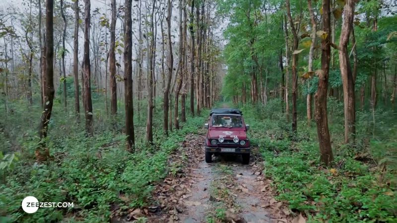 Exploring Buxa Tiger Reserve