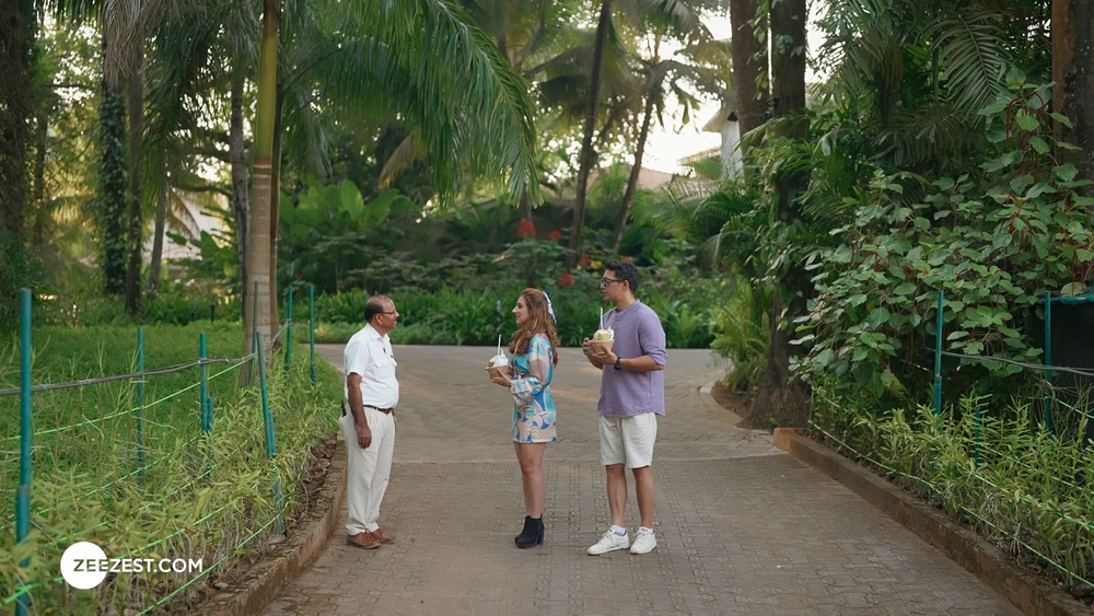 India's Best Resorts, Travel, luxury resorts,  Zee Zest