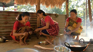 Explore Varied Cultures