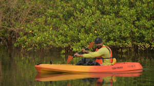 Ideas To Inspire Your Next Holiday