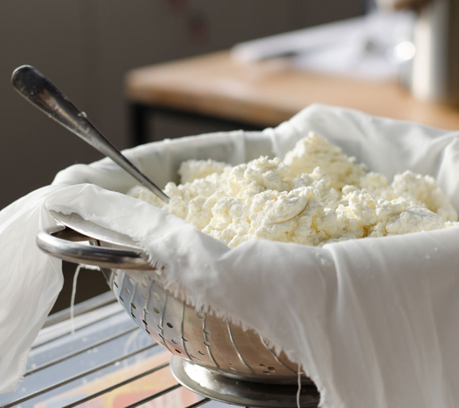 Homemade Cheese Making At Acres Wild in Coonoor