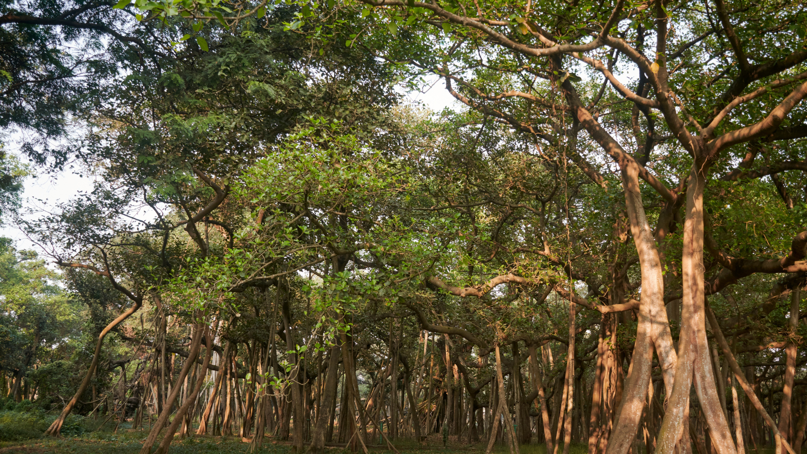 places to visit near Kolkata