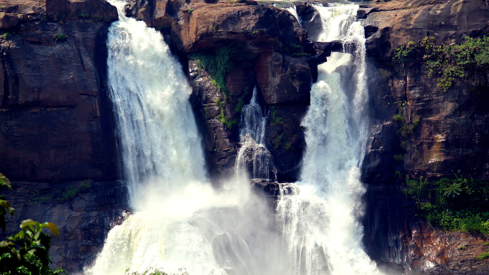 things to do in Kerala