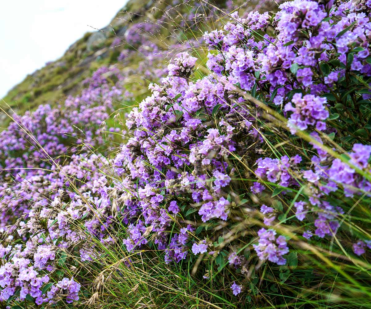 Blog Detail Images