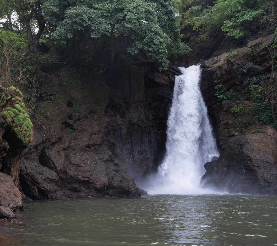 goa waterfall tour