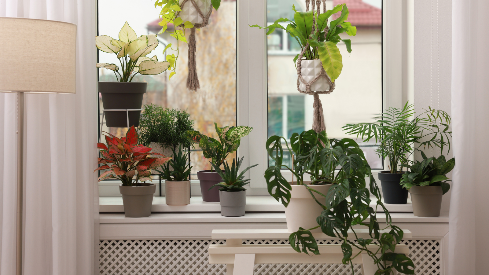 window decor