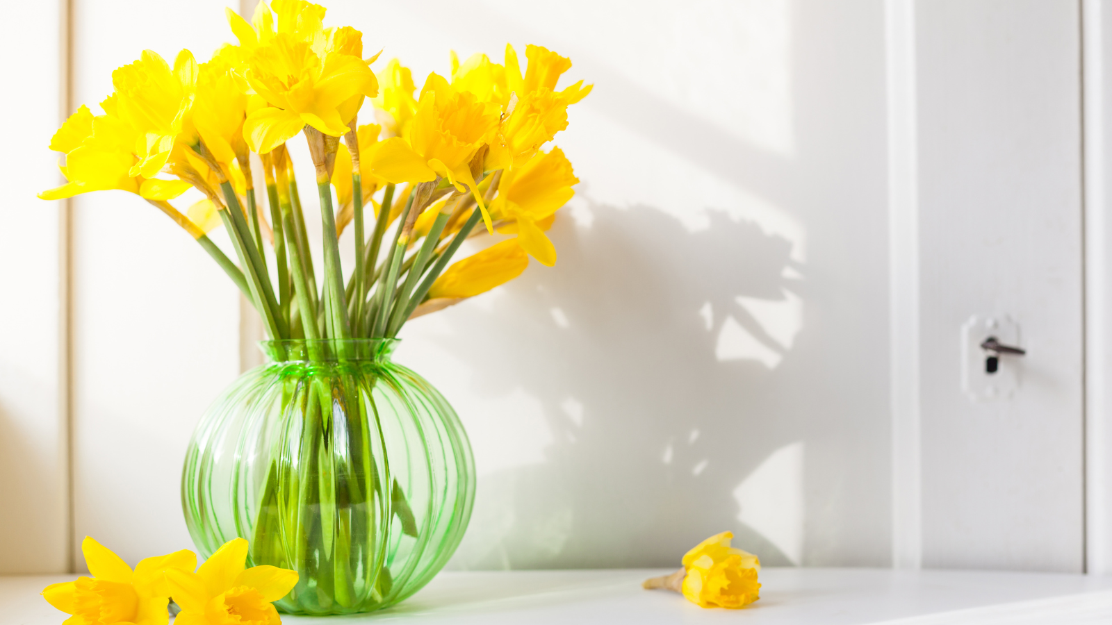 spring flowers
