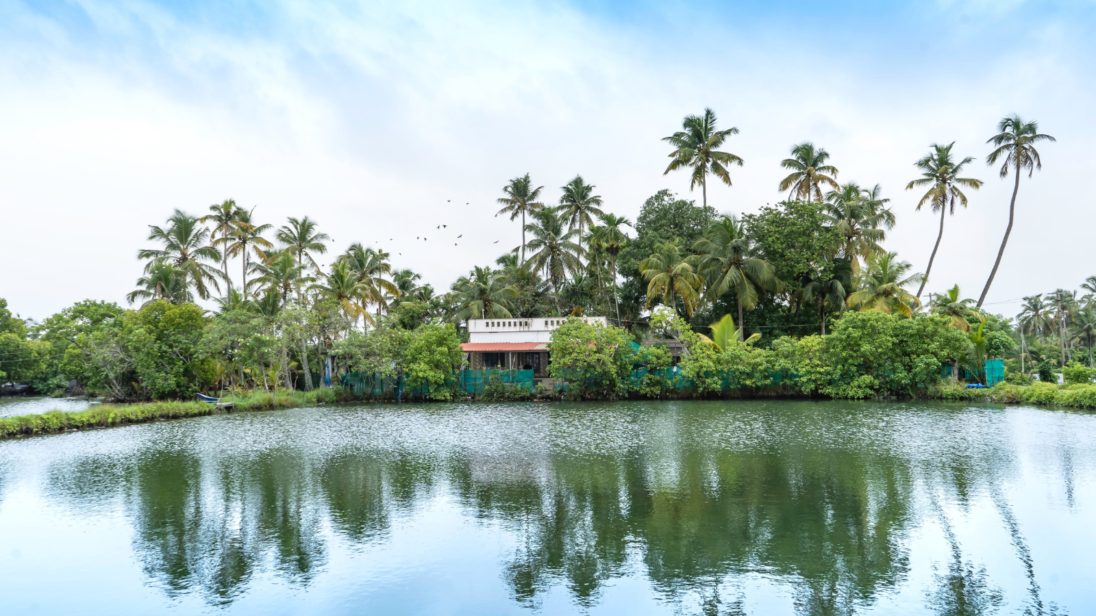 things to do in Kerala