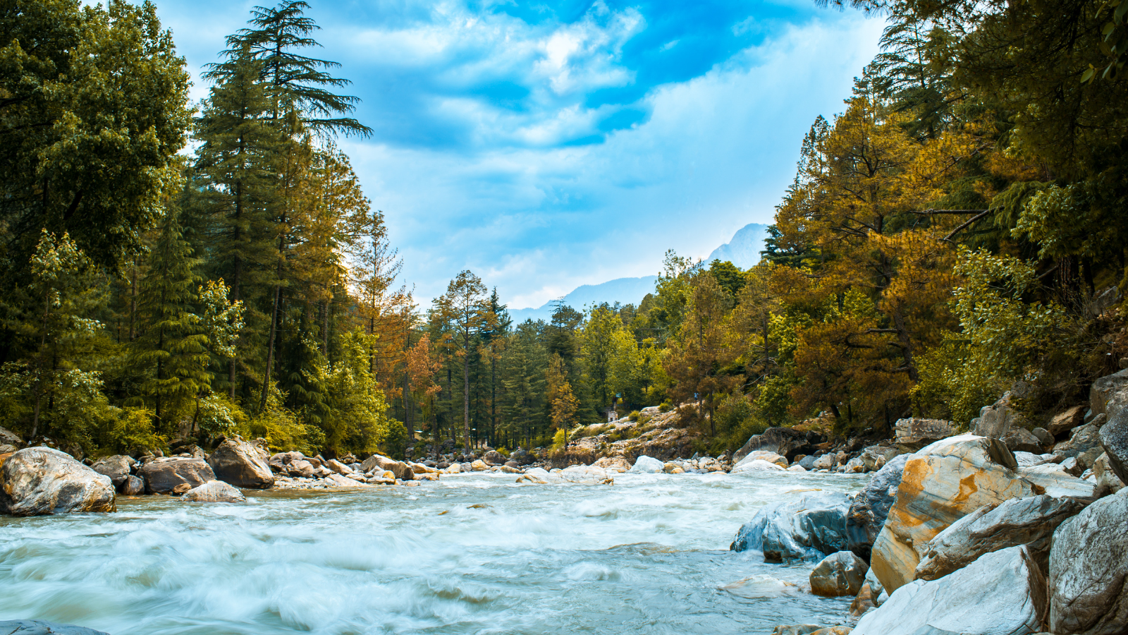 things to do in Tosh, Himachal Pradesh