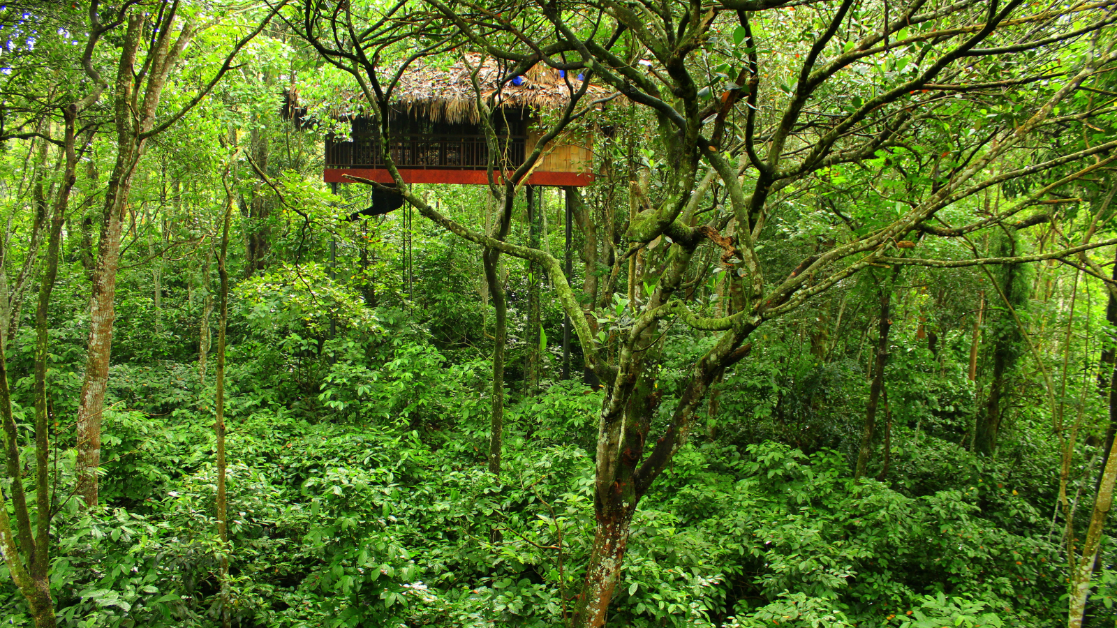 things to do in Kerala
