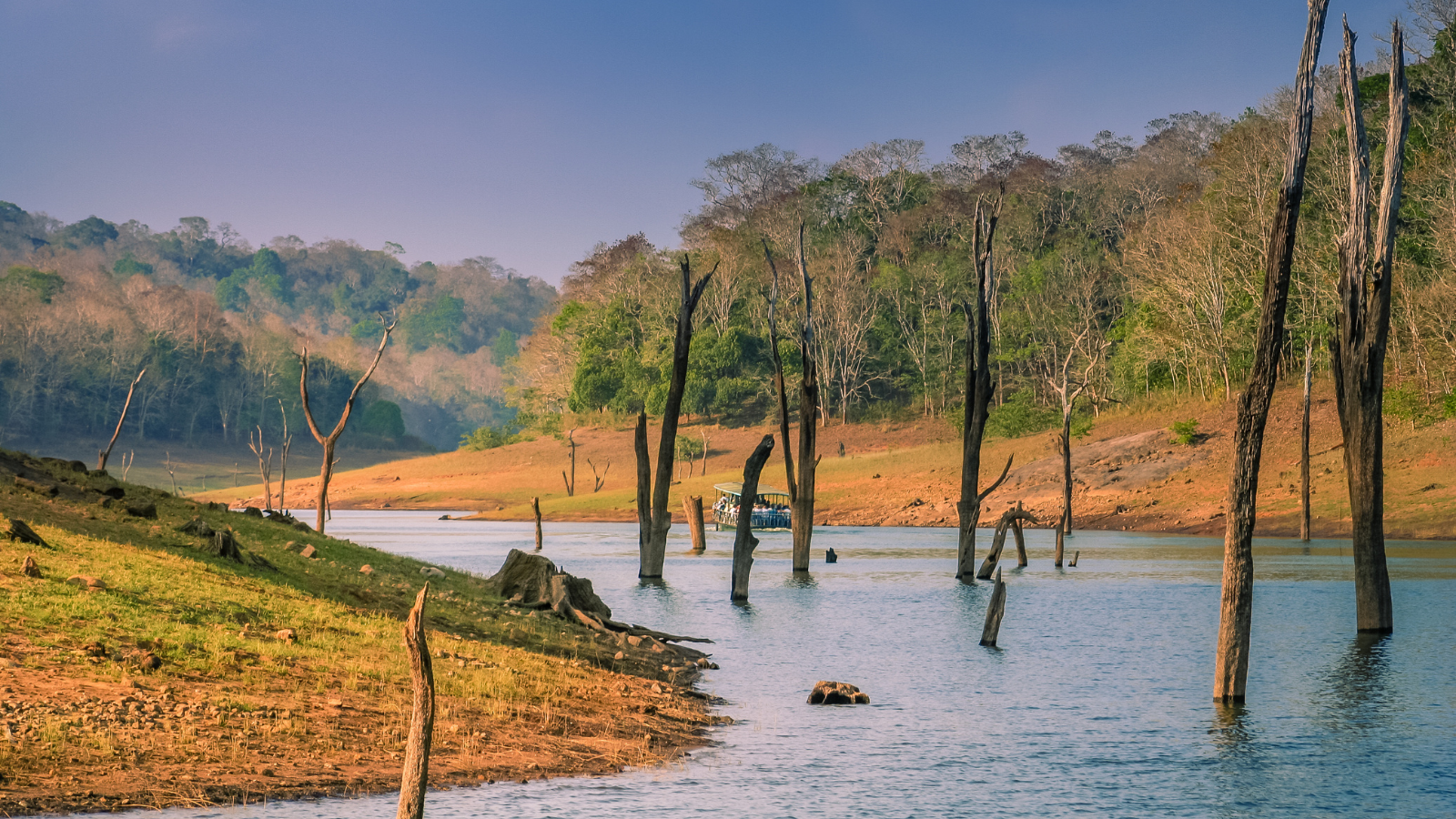 things to do in Kerala
