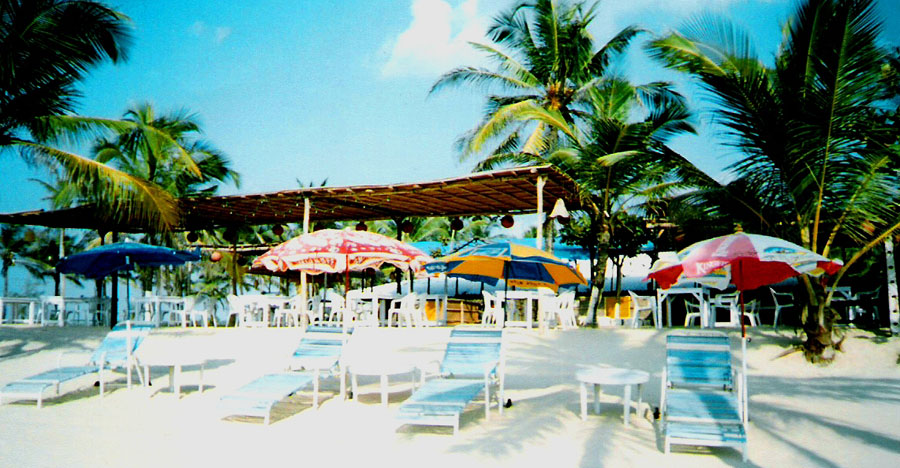 Blog Detail Images