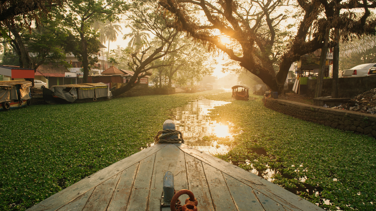 things to do in Kerala