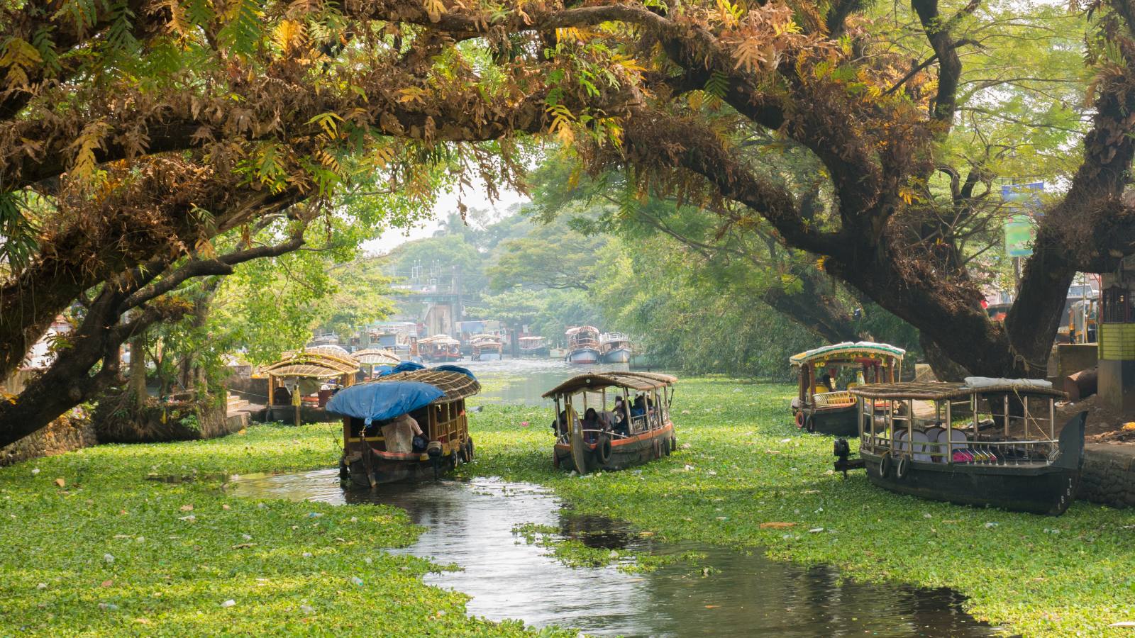 things to do in Kerala