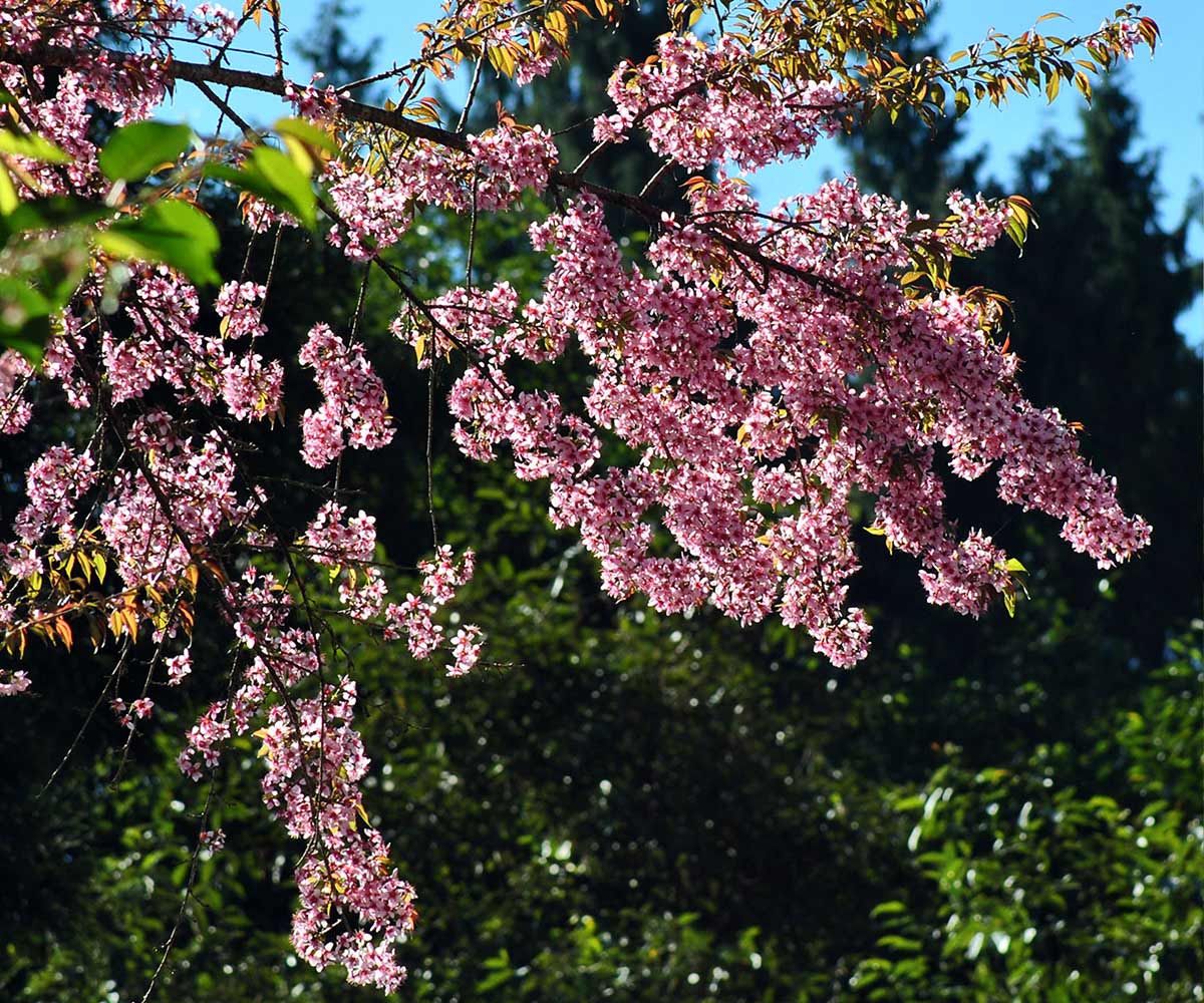 Blog Detail Images