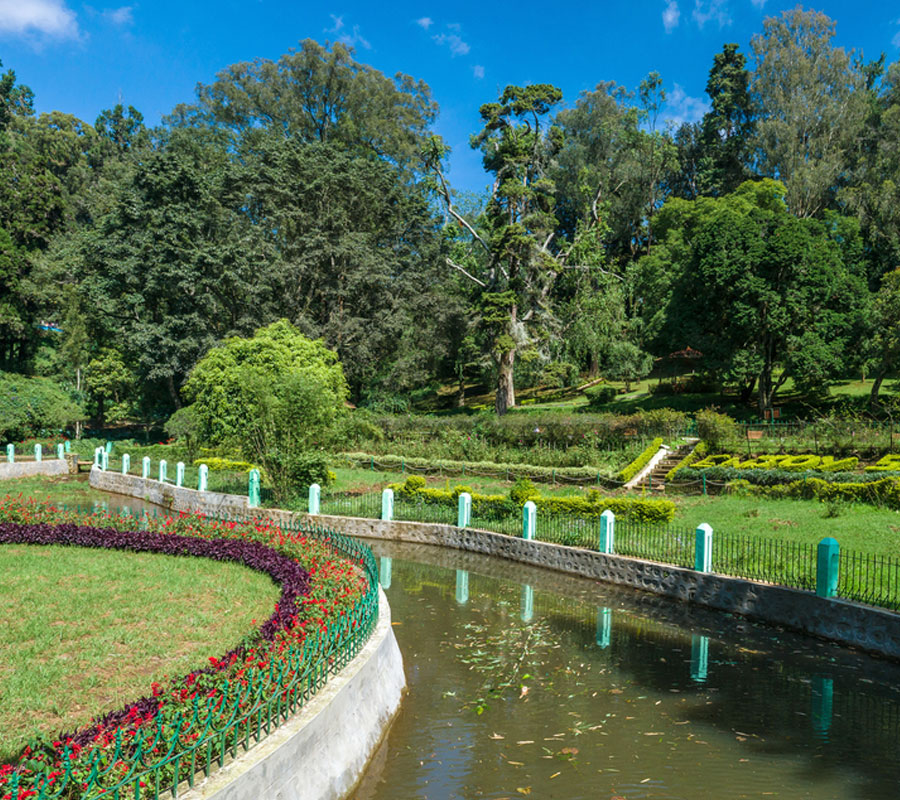 Visit Sim’s Park in Coonoor