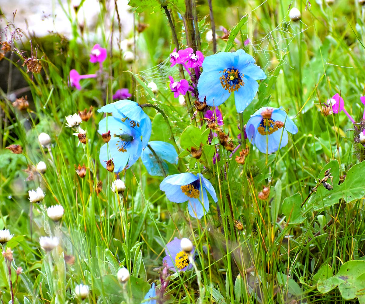 Blog Detail Images