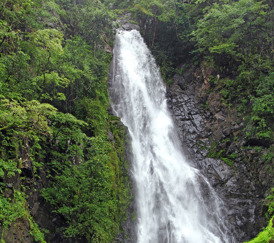 Blog Detail Images