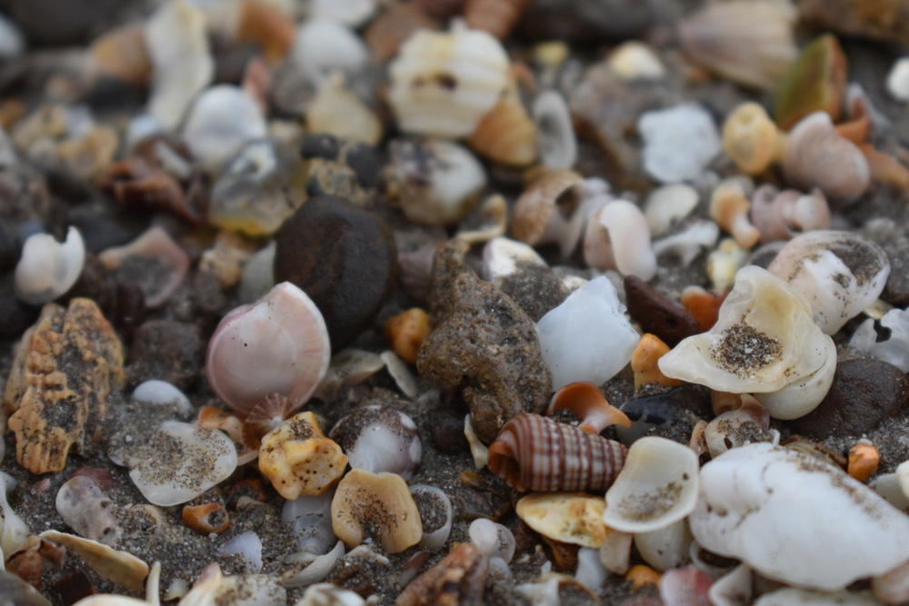 Blog Detail Images