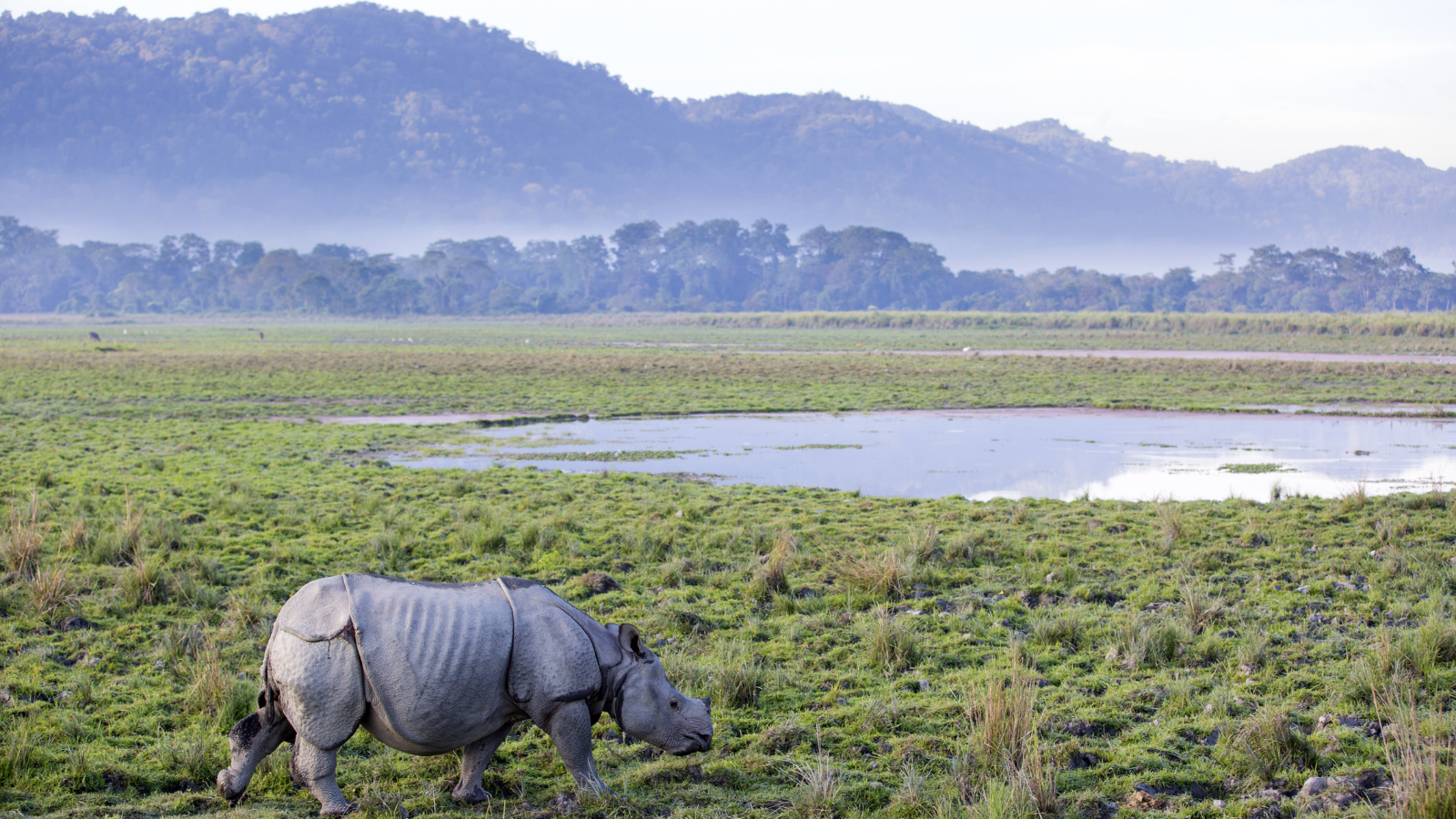 places to visit in Guwahati