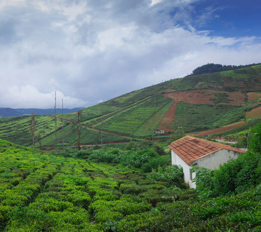 spiritual getaway India, Coorg