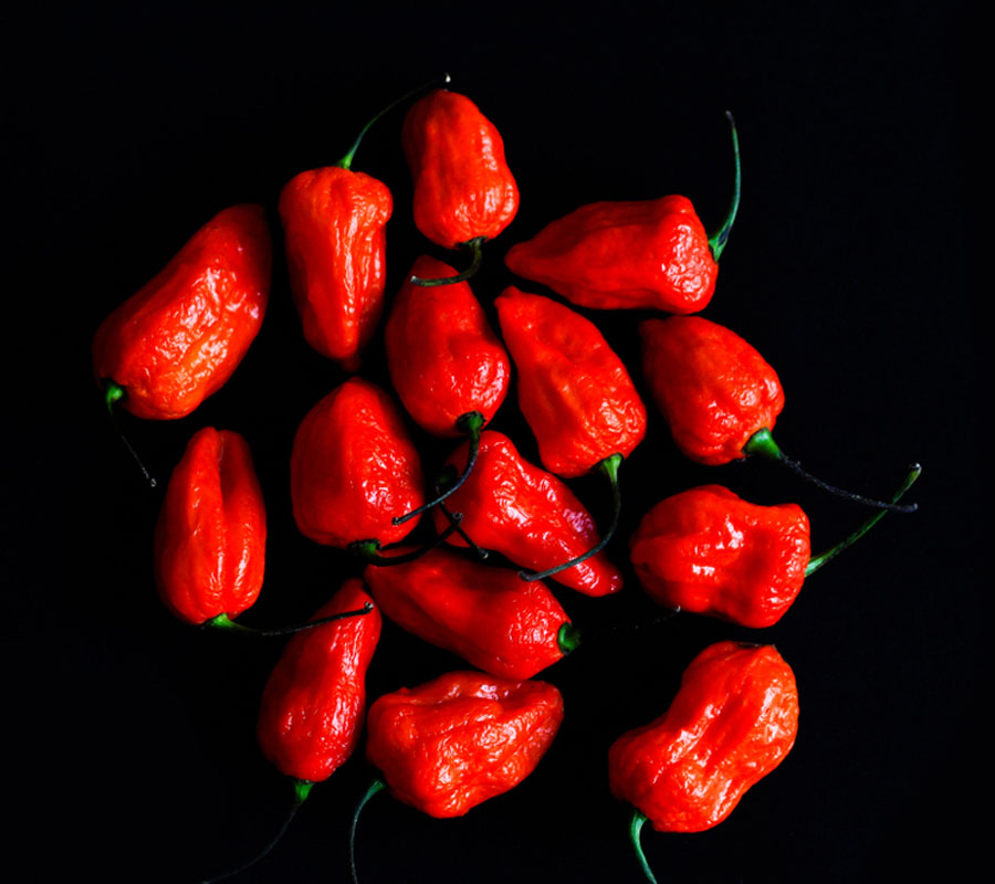 Blog Detail Images