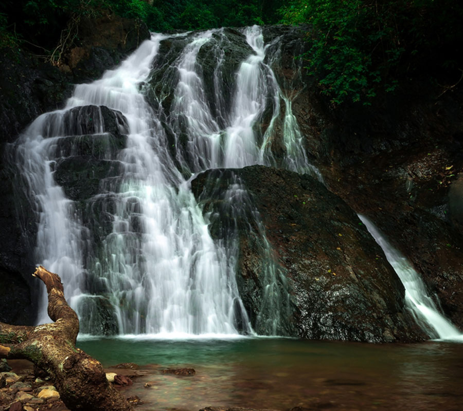 7 Of The Best Waterfalls In Goa For Every Nature Lover | Zee Zest