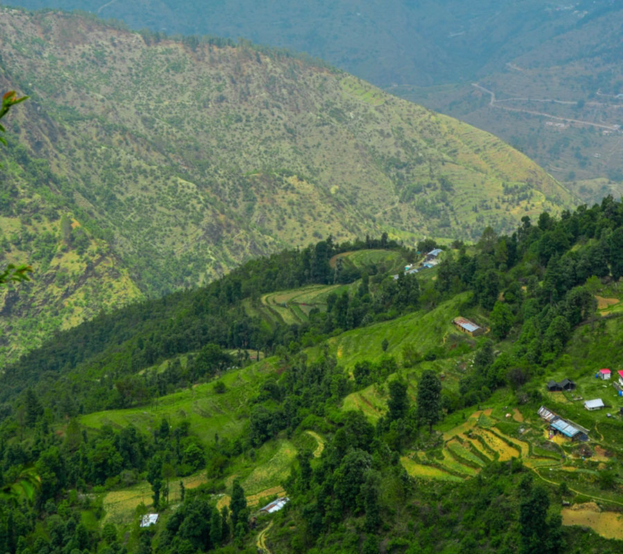 Dhanaulti Hill Station in Uttarakhand
