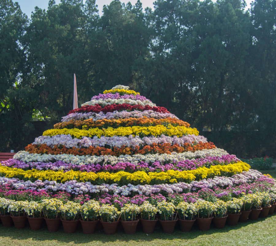 Visit Terraced Gardens in Chandigarh