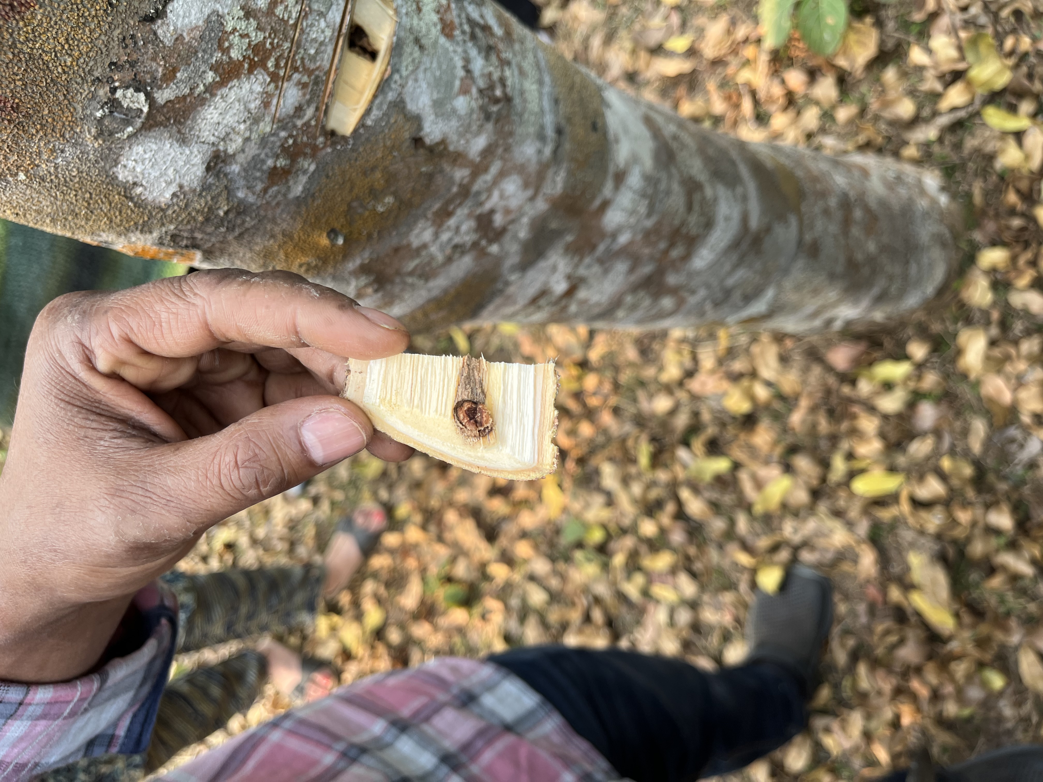 Blog Detail Images