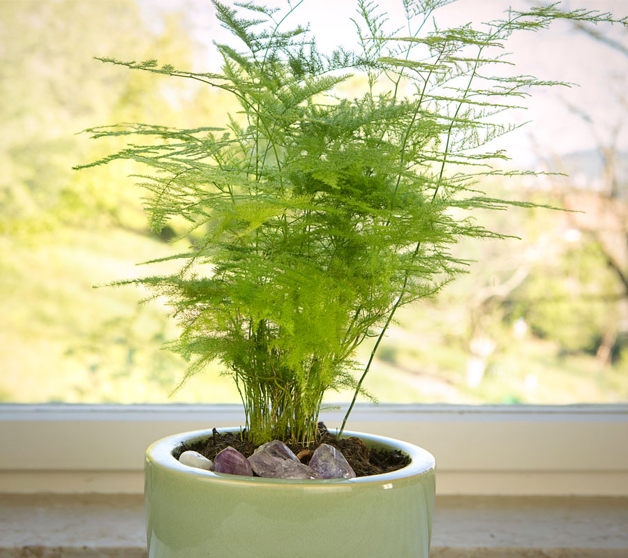 Blog Detail Images