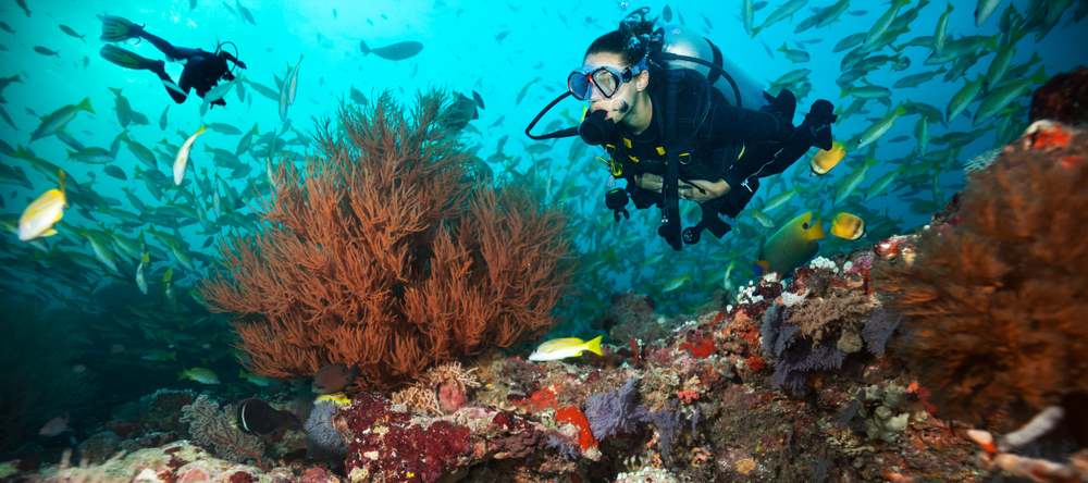 Expert’s Guide To Marine Conservation And Sustainable Scuba Diving