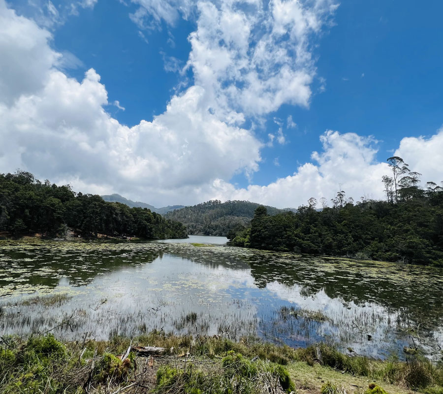 Kodaikanal things to do, Berijam
