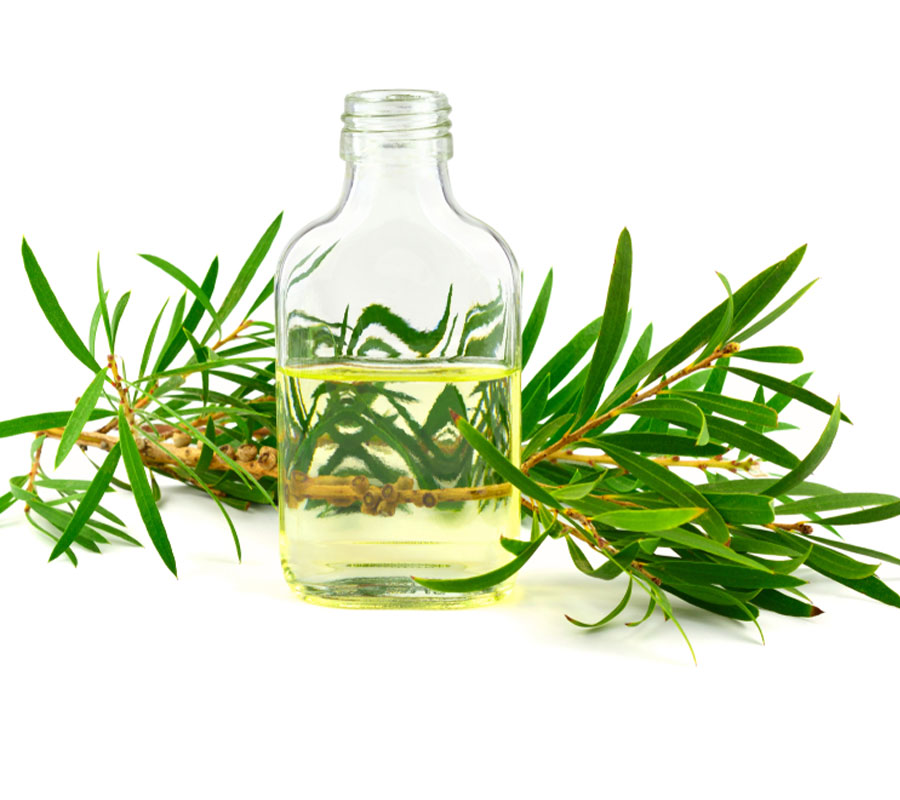 Tea Tree Natural Beard Oil