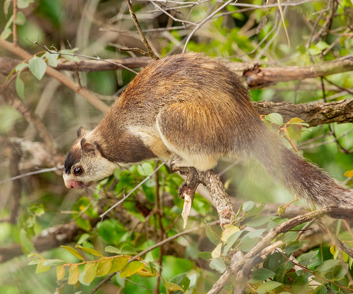 Blog Detail Images