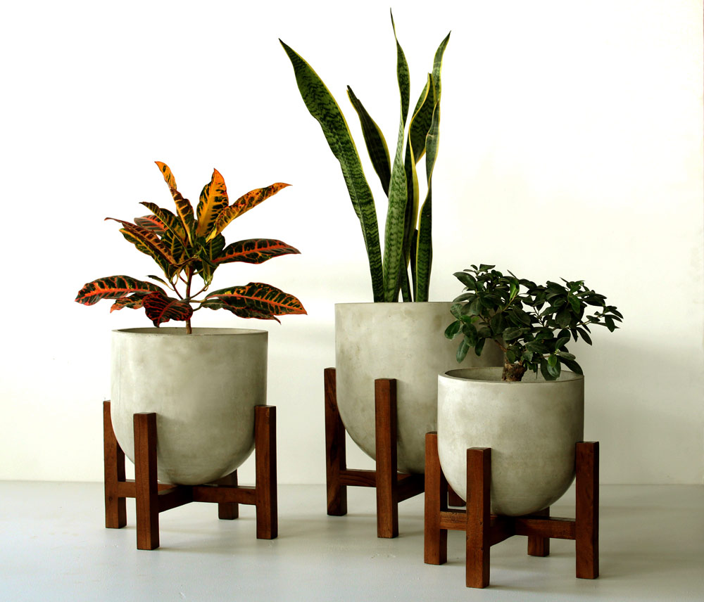 Blog Detail Images
