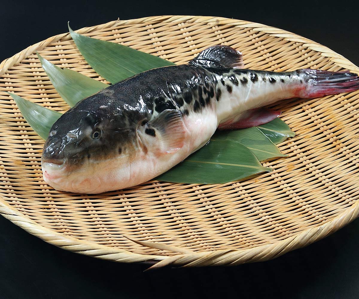 Blog Detail Images