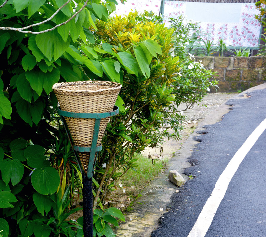 Blog Detail Images