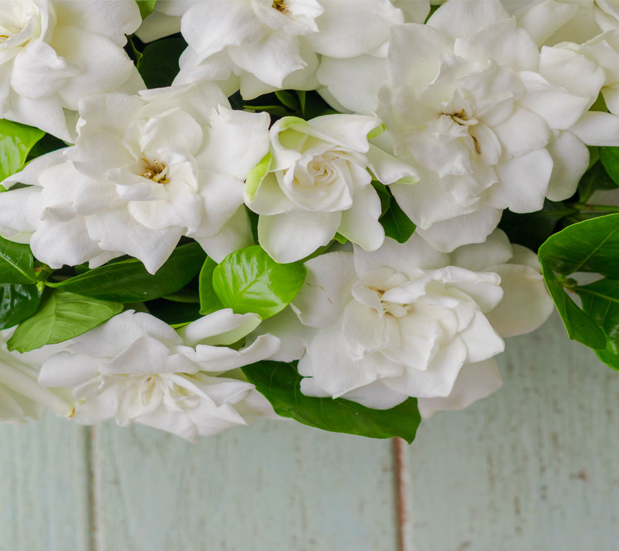 Blog Detail Images
