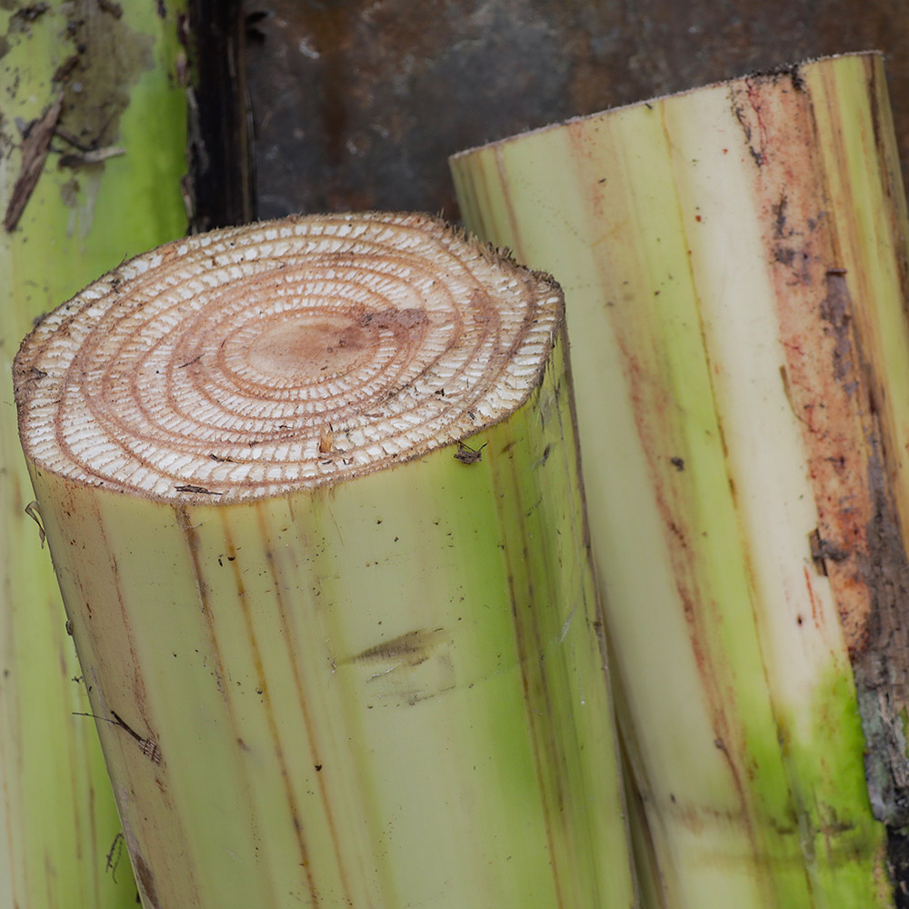 Blog Detail Images