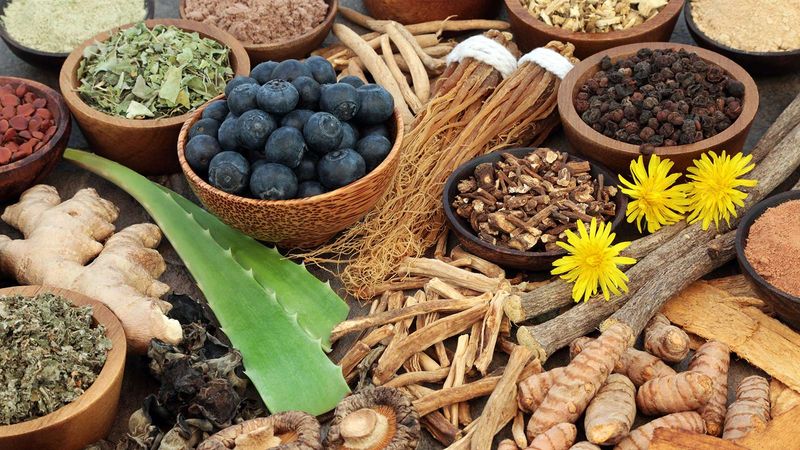 A Look At The Revival Of Ayurvedic Indian Herbs