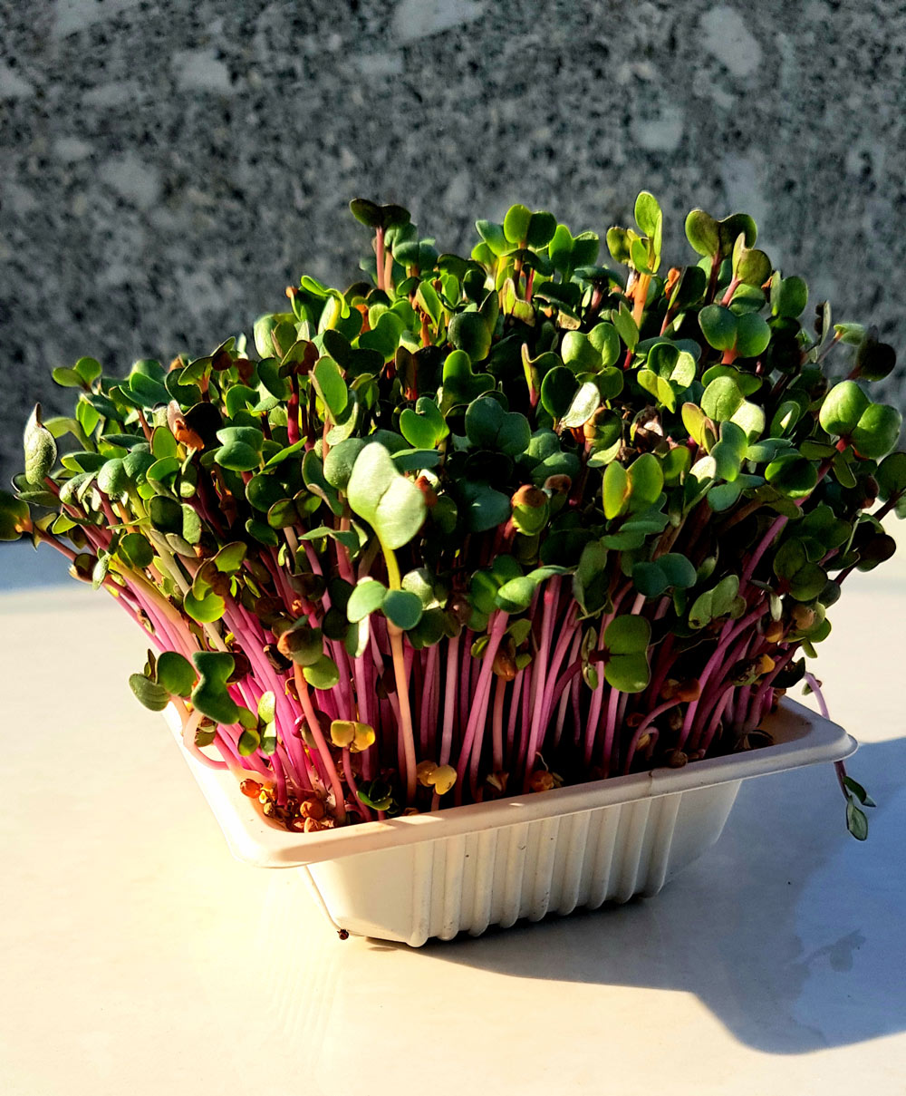 Blog Detail Images