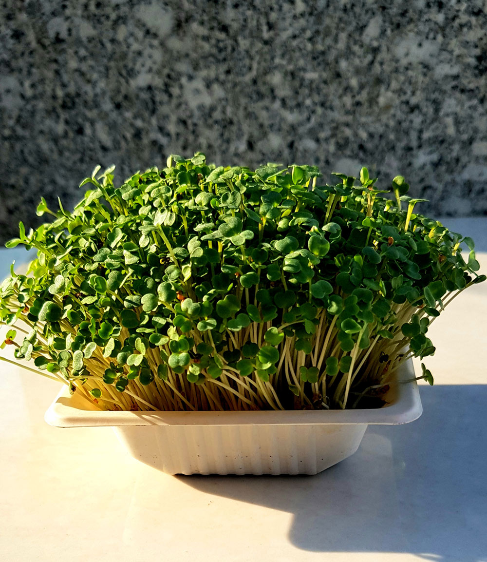 Blog Detail Images