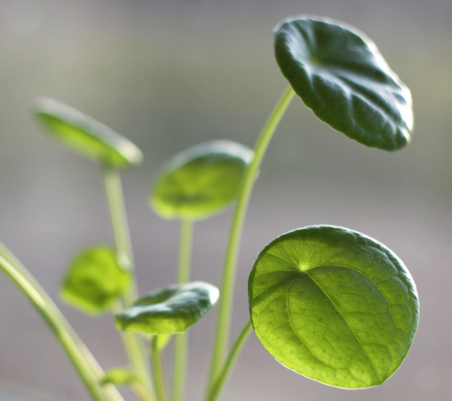 Blog Detail Images