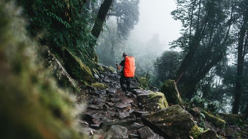 kedarkantha trek package