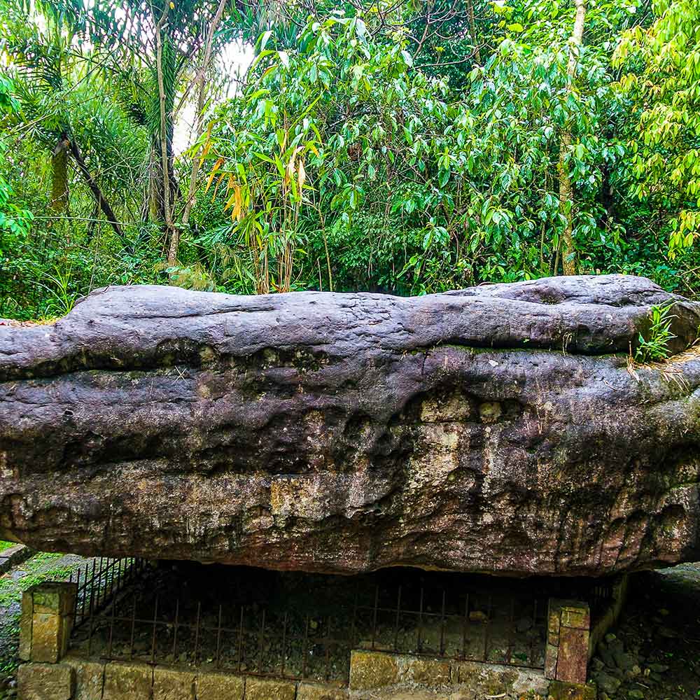 Blog Detail Images
