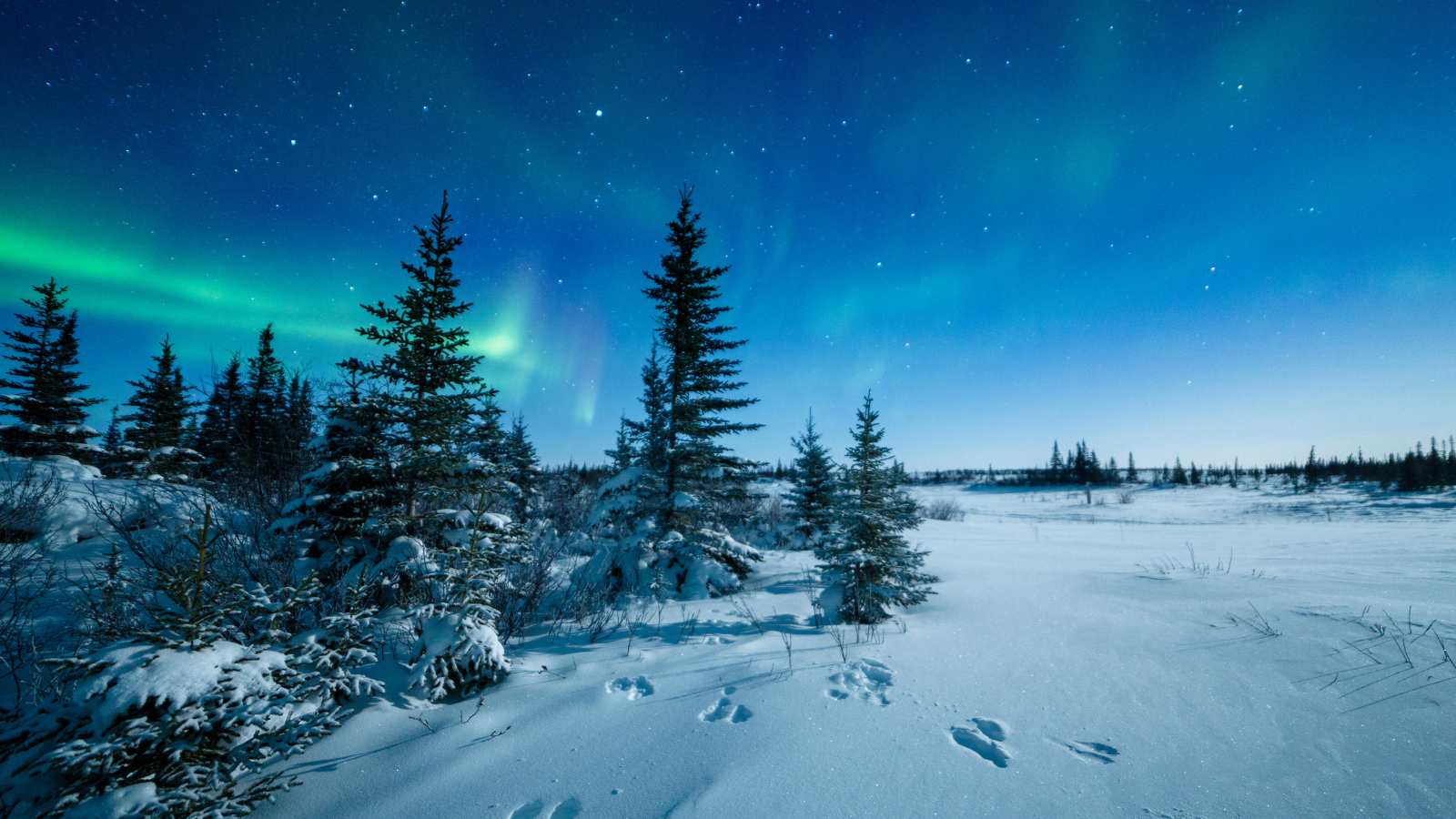 where to see northern lights